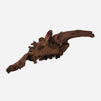 LYPHARD AQUARIUMS Natural Driftwood - Image 4