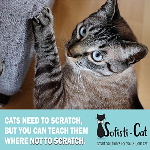 Sofisti-Cat Training Tape, Cat Tape - Image 3