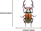 50 PCS Realistic Beetle Stickers - Image 2