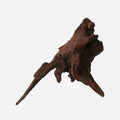 LYPHARD AQUARIUMS Natural Driftwood by LYPHARDAQUARIUMS