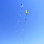 Large Single Line Beach Kite for Adults - Image 7