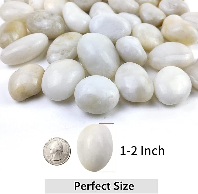 YISZM 10lbs White River Rocks, 1-2 Inch Natural Pebbles - Image 2