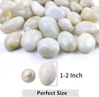 YISZM 40lbs White River Rocks for Garden Landscaping, 1-2 Inch Natural Pebbles - Image 3