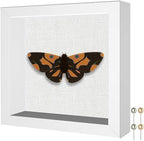 Califortree Small 5x5 Shadow Box Frame, Soft Linen Back, Push Pins Included by Califortree