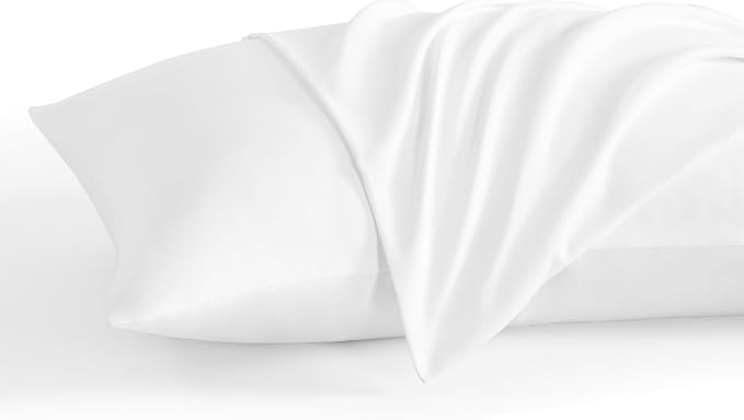 NTBAY Standard Pillow Cases Set of 2, 2 Pack Brushed Microfiber 20x26 Pillow by NTBAY