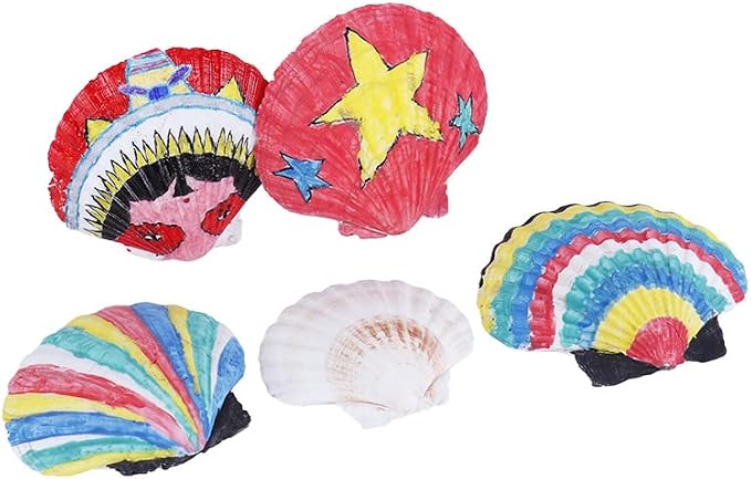 SEAJIAYI 20 pcs 2-3 inch Natural Scallop Shells White Sea Shells from Sea Beach - Image 9