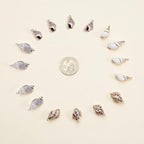 SUNNYCLUE 1 Box 16Pcs Oval Ocean Beach Spiral Seashells Craft Charms Connectors - Image 5