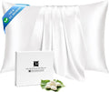 Ravmix Silk Pillow Cases with Zipper, 21 Momme Mulberry Silk Pillowcase by Ravmix