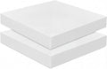 Frienda 2 Pack 3" x 20" x 20" Upholstery High Density Foam Cushion Replacement by Frienda