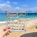 Grid Clear Acrylic Display Box by Unknown