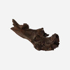 LYPHARD AQUARIUMS Natural Driftwood by LYPHARDAQUARIUMS