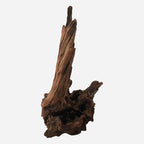 LYPHARD AQUARIUMS Natural Driftwood - Image 4