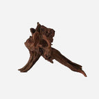 LYPHARD AQUARIUMS Natural Driftwood - Image 4