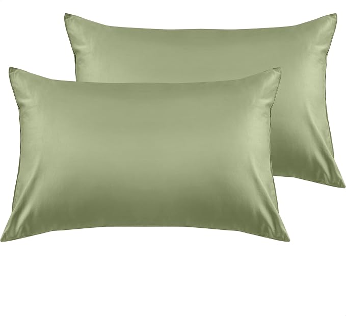 Warmstar Cotton Pillow Cases Queen Size Set of 2, 600 Thread Count Pillowcases by Warmstar