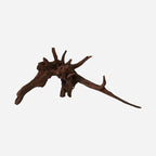 LYPHARD AQUARIUMS Natural Driftwood by LYPHARDAQUARIUMS
