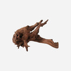 LYPHARD AQUARIUMS Natural Driftwood by LYPHARDAQUARIUMS