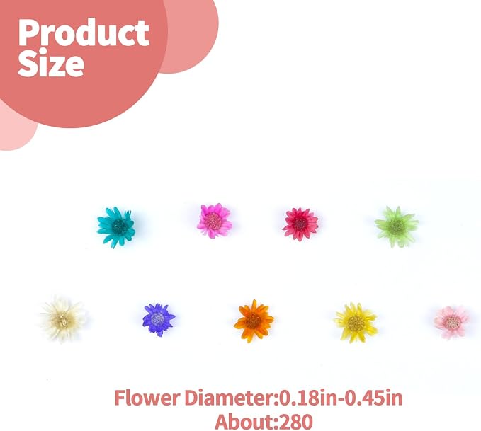 300 PCS Mini Dried Flowers for Resin, Small Dried Flowers for Crafts, - Image 2