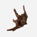 LYPHARD AQUARIUMS Natural Driftwood - Image 4