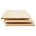 6 mm Baltic Birch Plywood 1/4 x 24 x 24 Inch, Box of 8 B/BB Grade Craft Wood by Woodpeckers