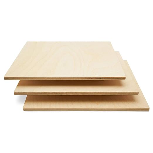 6 mm Baltic Birch Plywood 1/4 x 24 x 24 Inch, Box of 8 B/BB Grade Craft Wood by Woodpeckers