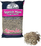 Mosser Lee Spanish Moss – Natural Decorative Moss - Image 8
