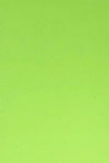 Allgala 20-Value-Pack EVA Foam Paper 8x12 Inch Sheets-Lime-CF85309 by Allgala
