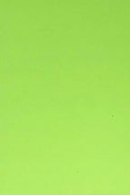 Allgala 20-Value-Pack EVA Foam Paper 8x12 Inch Sheets-Lime-CF85309 by Allgala