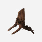 LYPHARD AQUARIUMS Natural Driftwood - Image 2