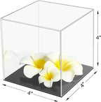 Cliselda Clear Acrylic Display Case - Image 6