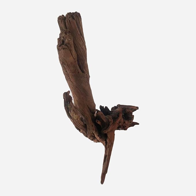 LYPHARD AQUARIUMS Natural Driftwood - Image 4