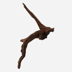 LYPHARD AQUARIUMS Natural Driftwood - Image 4