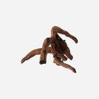 LYPHARD AQUARIUMS Natural Driftwood - Image 3