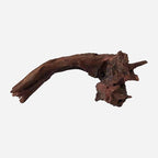 LYPHARD AQUARIUMS Natural Driftwood by LYPHARDAQUARIUMS