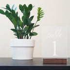 4x6 Inch Blank Frosted Acrylic Sign 1/8 Inch Thick | DIY Frosted 4"x6" Acrylic - Image 3