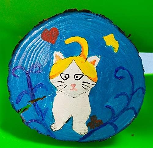 Unfinished Natural Wood Slices 12 Pcs 3.5-4 inch Craft Wood kit Circles Crafts - Image 5