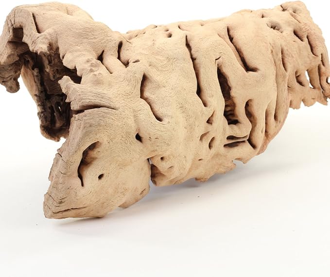 Koyal Wholesale 10" Hollow Grapewood Branch Decor 1Pcs Grapewood Centerpiece - Image 8