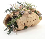 Koyal Wholesale 10" Hollow Grapewood Branch Decor 1Pcs Grapewood Centerpiece - Image 5