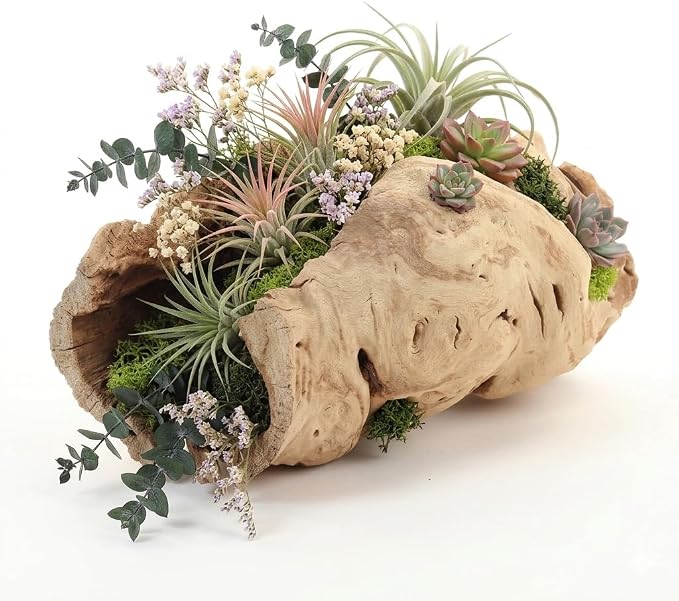 Koyal Wholesale 10" Hollow Grapewood Branch Decor 1Pcs Grapewood Centerpiece - Image 5