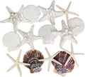 HappyFiller 14 PCS White Natural Scallop Seashells Decorative Starfish | Sea by HappyFiller