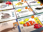 Stonemaier Games: Finspan Upgrade Pack | Squishy Eggs and Wooden Fish Tokens | - Image 6