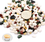 TOYPOPOR 6LB Succulent and Cactus Gravel Pebbles, 1/5 Inch Natural Decorative - Image 2