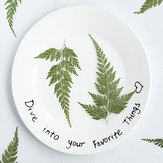 48 Pcs Dried Pressed Flowers Leaves Ferns - Image 3