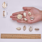 SUNNYCLUE 1 Box 10Pcs Oval Ocean Beach Spiral Seashells Craft Charms Connectors - Image 6