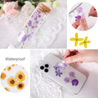 160 Pcs Transparent Flower Stickers - Image 5