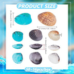 PH PandaHall 50~56pcs Dyed Natural Conch Shell Beads Drilled Tiny Scallop Sea - Image 2