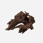 LYPHARD AQUARIUMS Natural Driftwood by LYPHARDAQUARIUMS