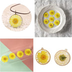 50pcs Natural Dried Daisy Flower, Vacuum Packaging, Pressed Flower - Image 3