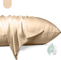 100% Mulberry Silk Pillowcase 2 Pack, Standard Size Silk Pillow Cases by Unknown