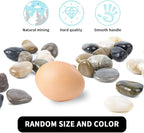 Pebbles Polished Gravel, Natural Polished Mixed Color Stones, 0.5-1.2 inch - Image 7