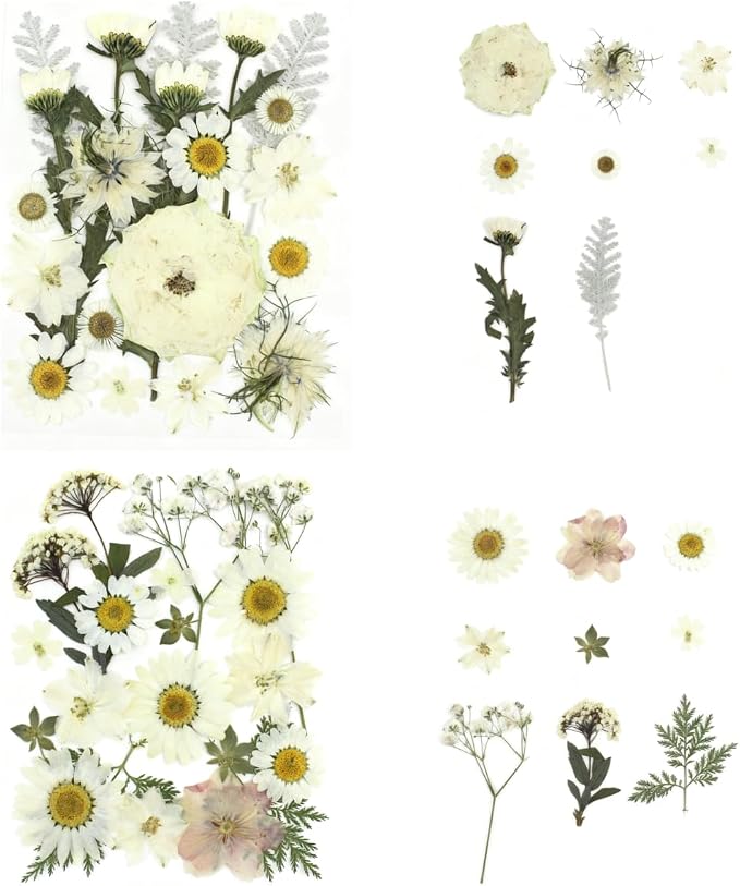 80Pcs Pressed Flowers, Nail Art, Scrapbooking, Candle Holder, Jewelry Making - Image 2